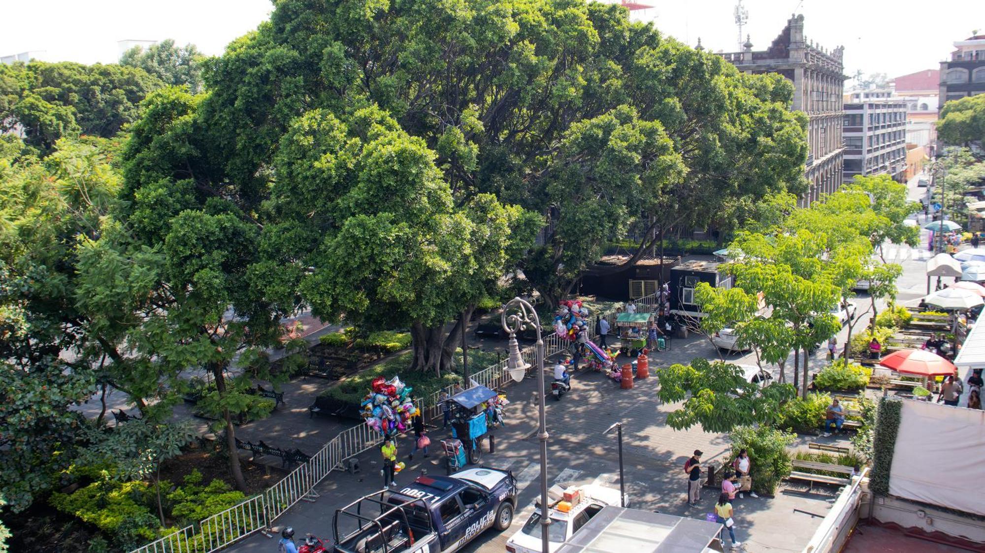 Suites Las Plazas Куэрнавака Экстерьер фото